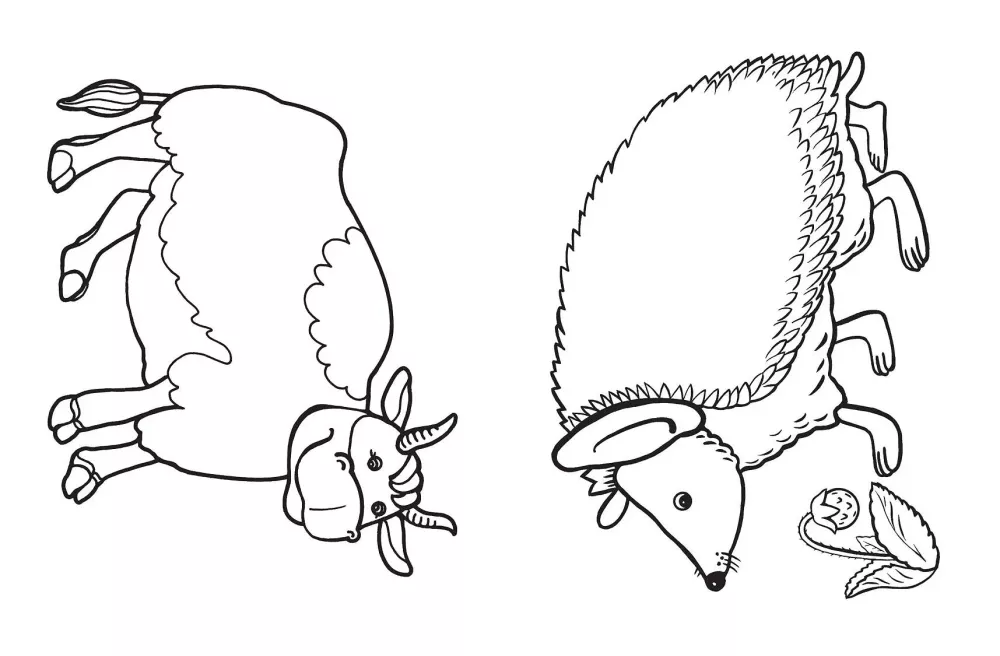 Big Coloring Book. World of Nature — photo 7