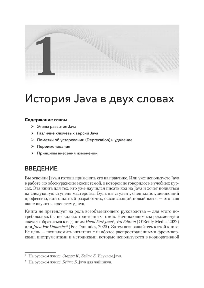 Java for Professionals. Tools, Frameworks, Testing, Performance (Spring, Git, Prometheus, Project Lombok)