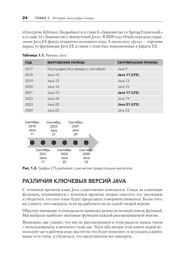 Java for Professionals. Tools, Frameworks, Testing, Performance (Spring, Git, Prometheus, Project Lombok)