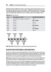 Java for Professionals. Tools, Frameworks, Testing, Performance (Spring, Git, Prometheus, Project Lombok)