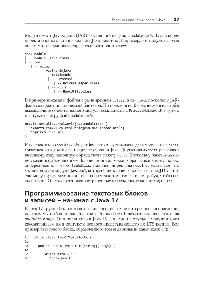 Java for Professionals. Tools, Frameworks, Testing, Performance (Spring, Git, Prometheus, Project Lombok)