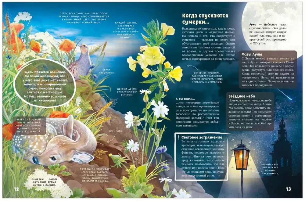 Secrets of Nocturnal Animals. A Visual Encyclopedia