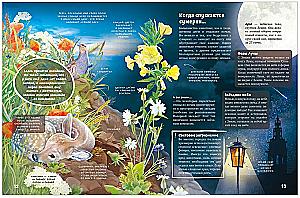 Secrets of Nocturnal Animals. A Visual Encyclopedia