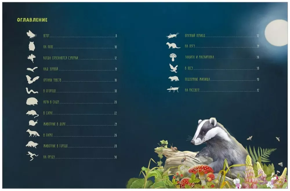 Secrets of Nocturnal Animals. A Visual Encyclopedia