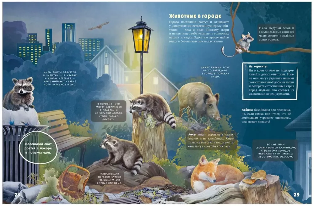 Secrets of Nocturnal Animals. A Visual Encyclopedia