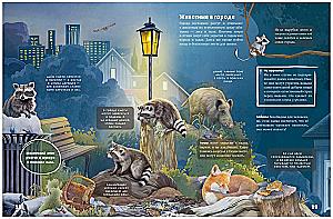 Secrets of Nocturnal Animals. A Visual Encyclopedia
