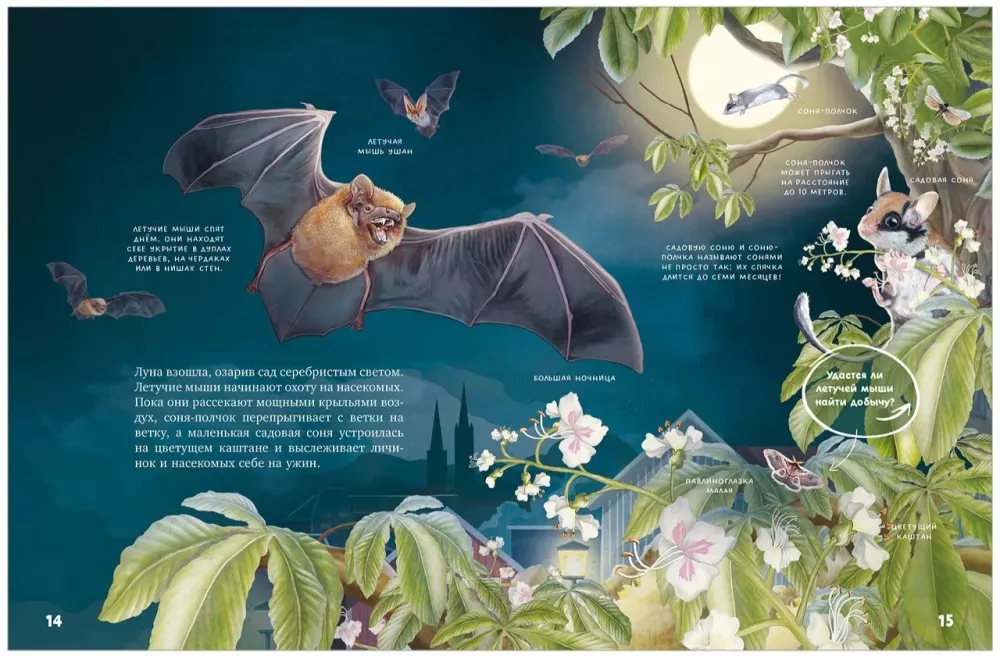 Secrets of Nocturnal Animals. A Visual Encyclopedia