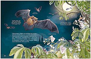 Secrets of Nocturnal Animals. A Visual Encyclopedia