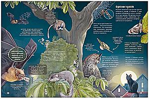 Secrets of Nocturnal Animals. A Visual Encyclopedia