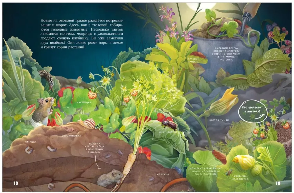 Secrets of Nocturnal Animals. A Visual Encyclopedia