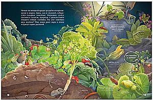 Secrets of Nocturnal Animals. A Visual Encyclopedia