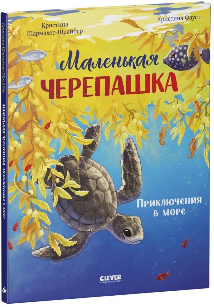Die kleine Schildkröte. Abenteuer im Meer