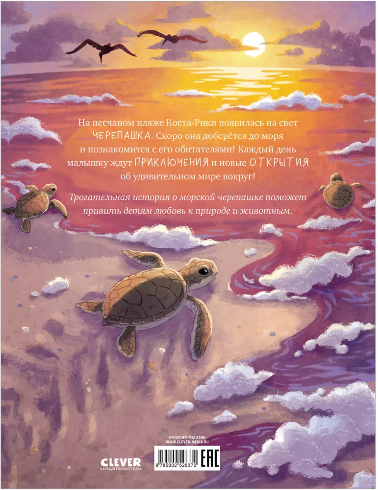 Die kleine Schildkröte. Abenteuer im Meer