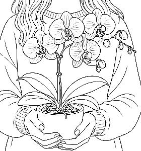 Сад орхидей. Антистресс-раскраска