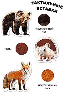 Tiere im Wald. Taktilen Puzzles