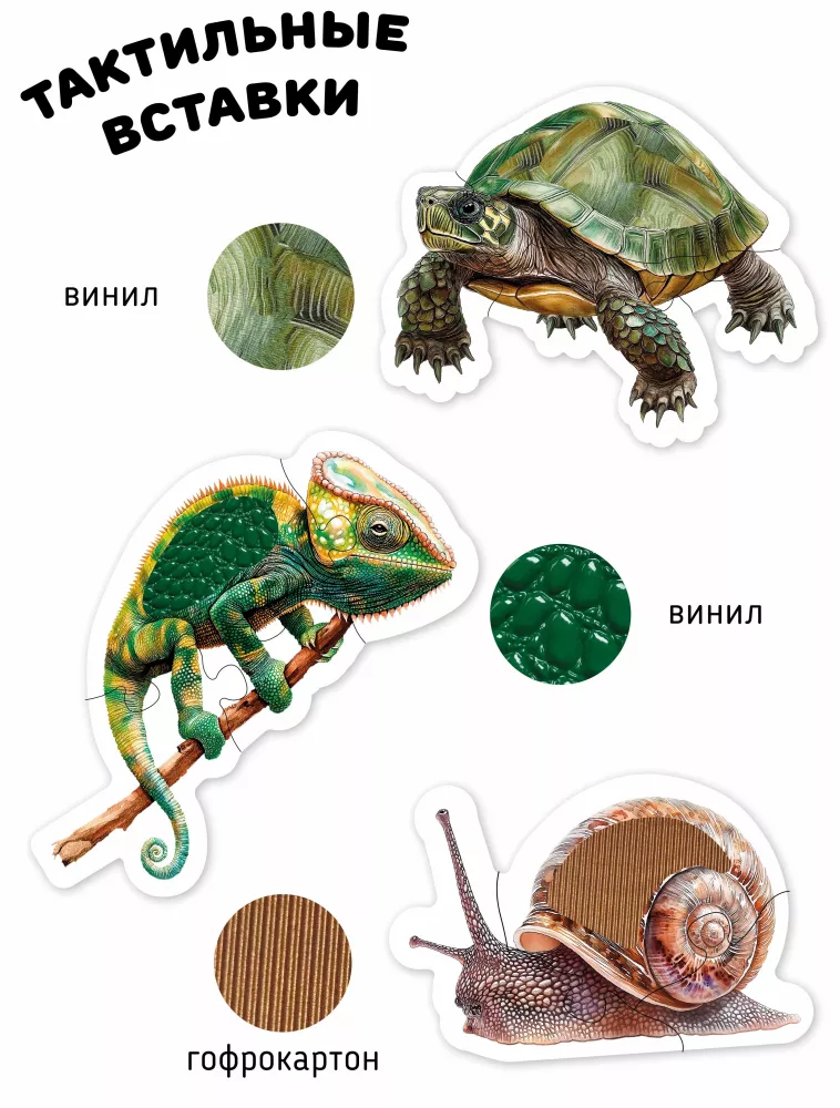 Tiere im Terrarium. Taktile Puzzles