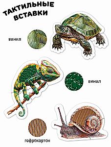 Tiere im Terrarium. Taktile Puzzles