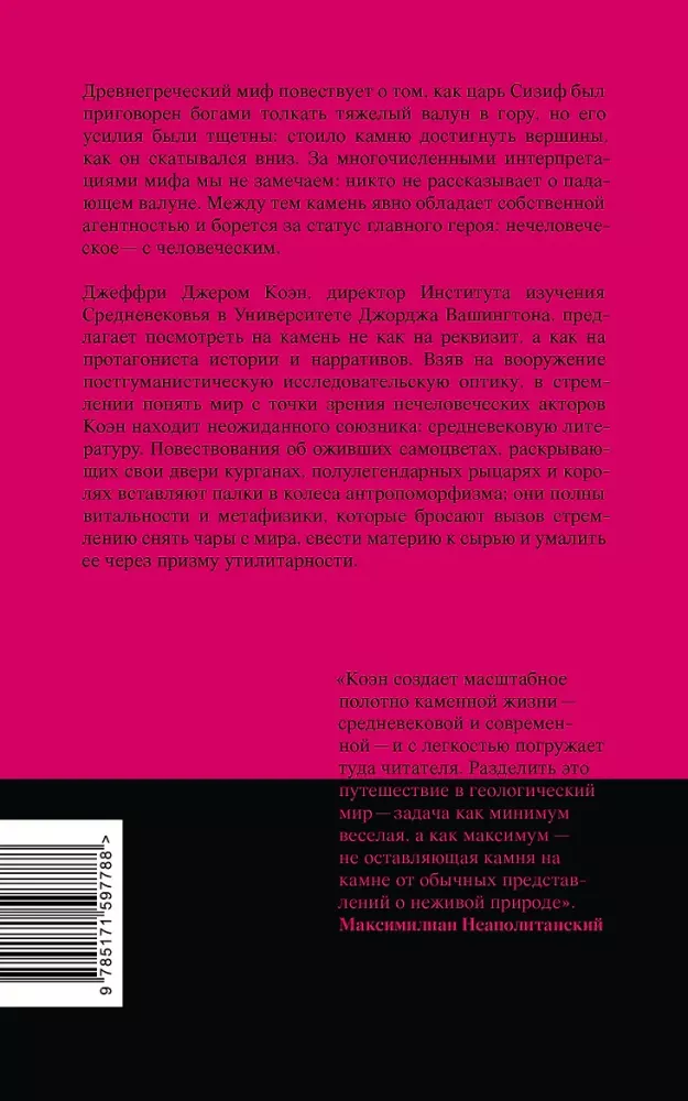 Stone. The Ecology of the Non-Human