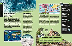 Our Earth