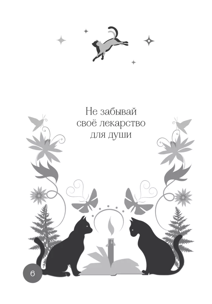 Das Orakelbuch Antworten der Schwarzen Katze