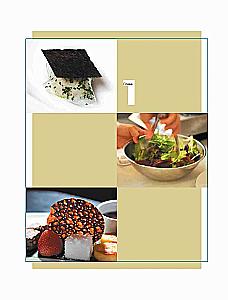ABC der Geschmäcker. Unverzichtbare Anleitung zur Geschmackskombination in der modernen Gastronomie