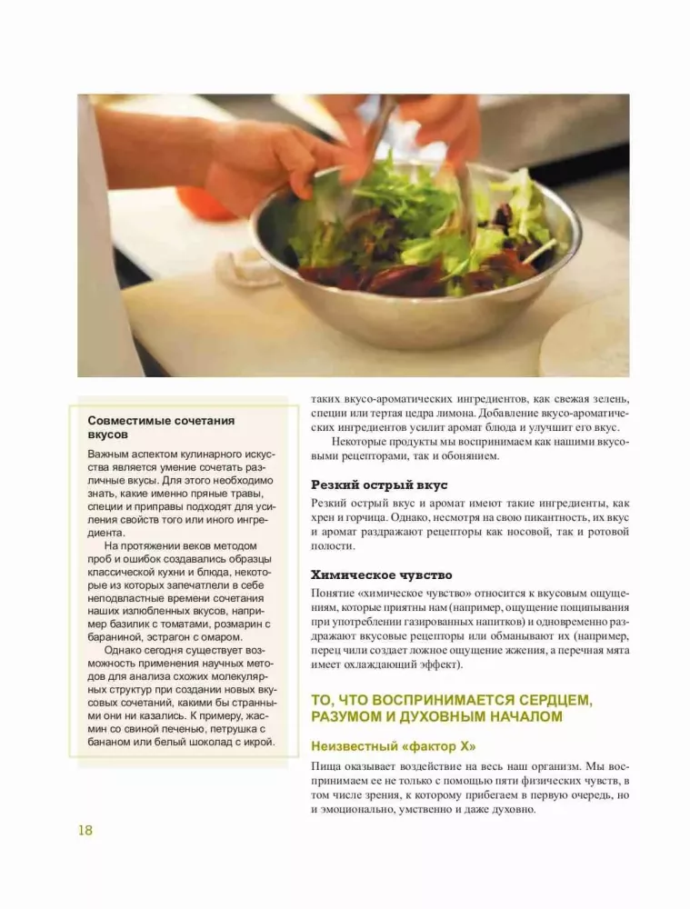 ABC der Geschmäcker. Unverzichtbare Anleitung zur Geschmackskombination in der modernen Gastronomie