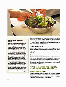 ABC der Geschmäcker. Unverzichtbare Anleitung zur Geschmackskombination in der modernen Gastronomie