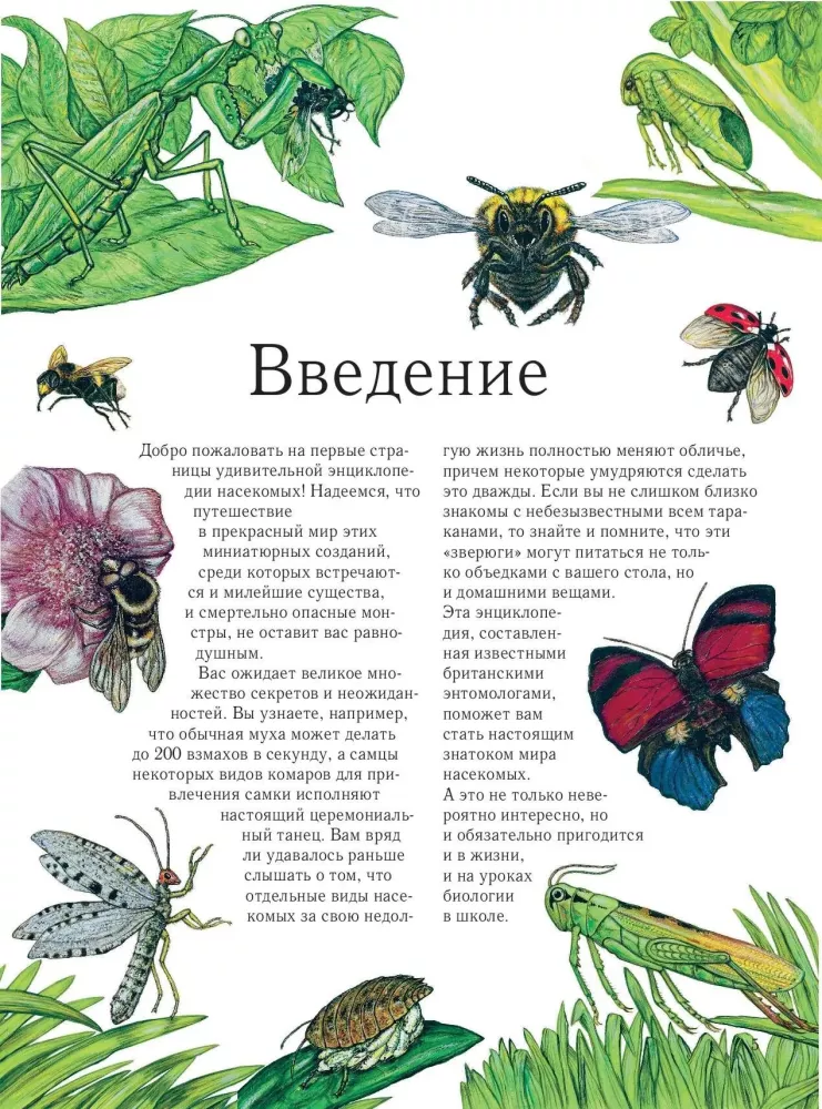 Insekten. Vollständige Enzyklopädie