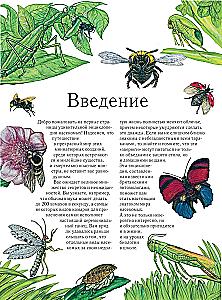 Insekten. Vollständige Enzyklopädie