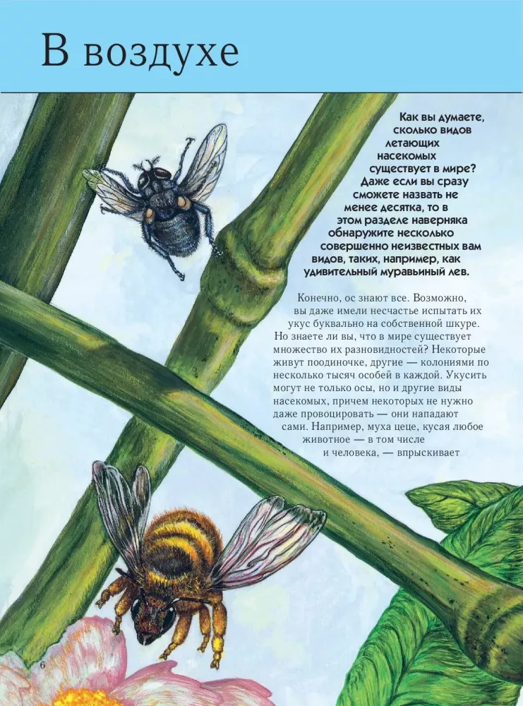 Insekten. Vollständige Enzyklopädie