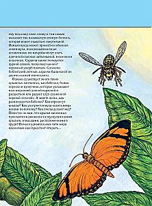 Insekten. Vollständige Enzyklopädie