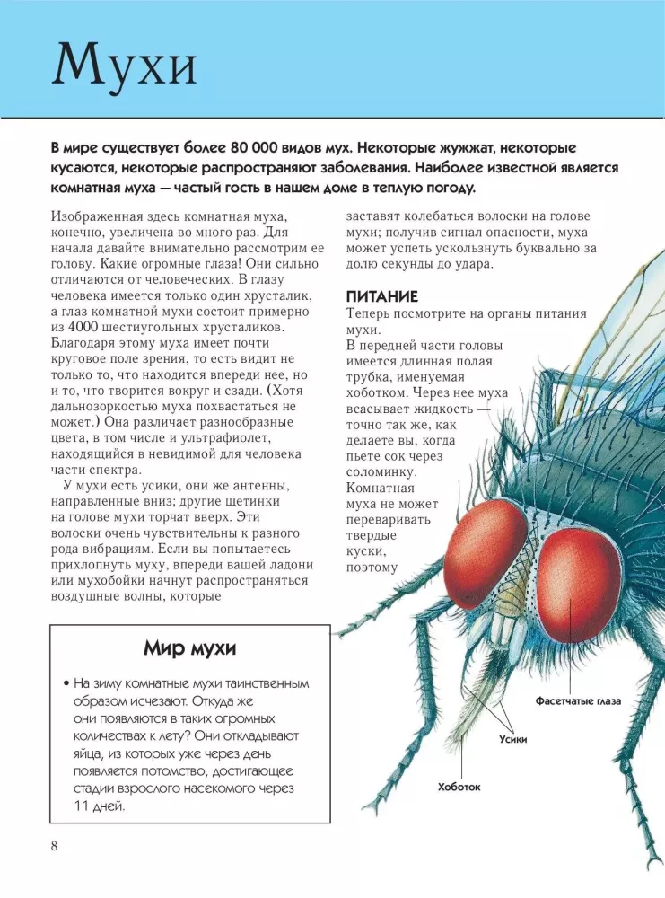 Insekten. Vollständige Enzyklopädie
