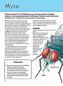 Insekten. Vollständige Enzyklopädie