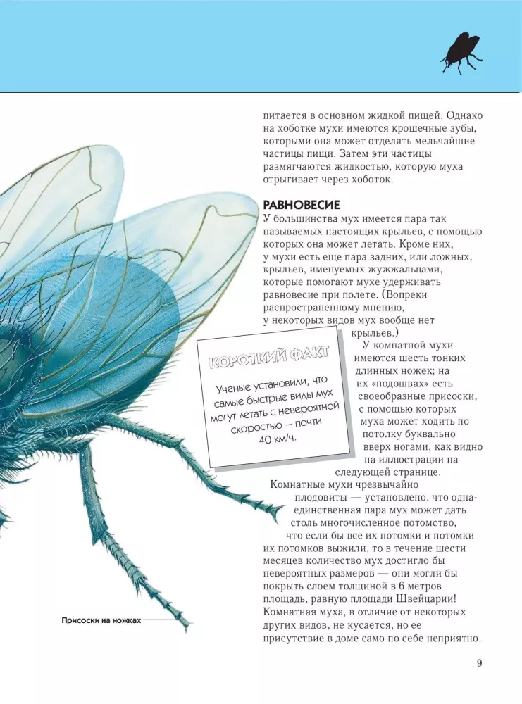 Insekten. Vollständige Enzyklopädie