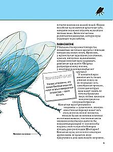 Insekten. Vollständige Enzyklopädie