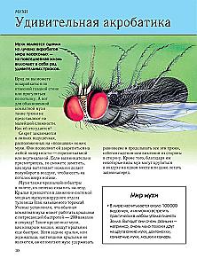 Insekten. Vollständige Enzyklopädie