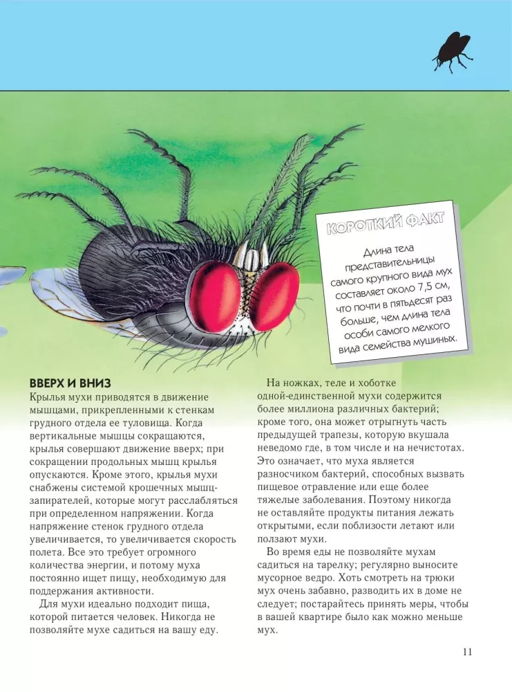 Insekten. Vollständige Enzyklopädie
