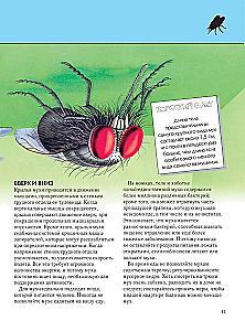 Insekten. Vollständige Enzyklopädie