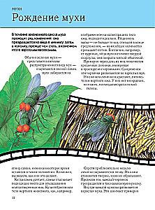 Insekten. Vollständige Enzyklopädie