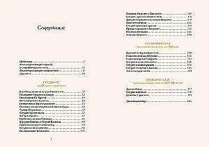 Сегурант. Утерянный роман о рыцаре Круглого стола