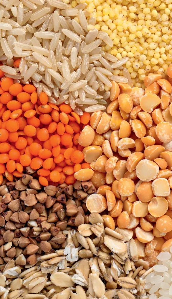 100 Food Products. A Useful Guide to a Balanced Diet