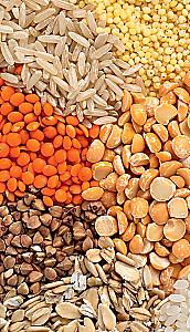 100 Food Products. A Useful Guide to a Balanced Diet