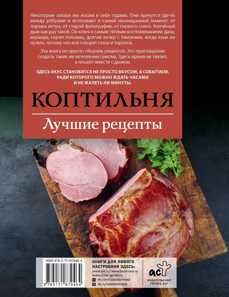 Smoker. The Best Recipes