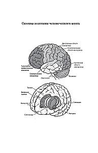 Eine kurze Geschichte des Intellekts. Evolution, KI und fünf Durchbrüche, die unser Gehirn verändert haben
