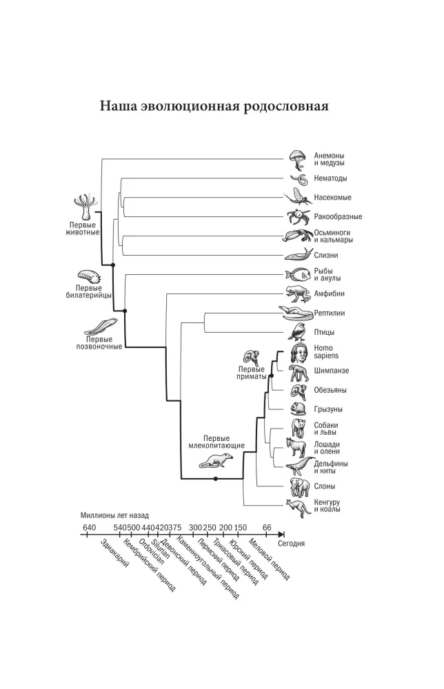 Eine kurze Geschichte des Intellekts. Evolution, KI und fünf Durchbrüche, die unser Gehirn verändert haben