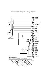 Eine kurze Geschichte des Intellekts. Evolution, KI und fünf Durchbrüche, die unser Gehirn verändert haben