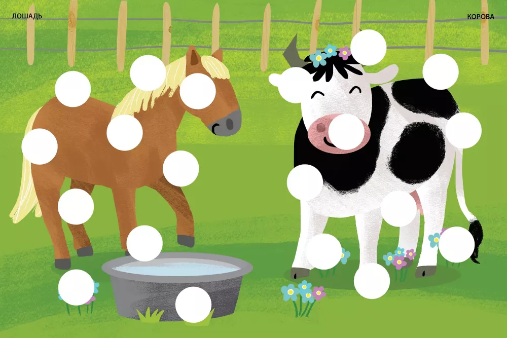 Developing the Brain. Farm