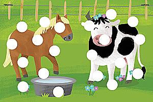 Developing the Brain. Farm