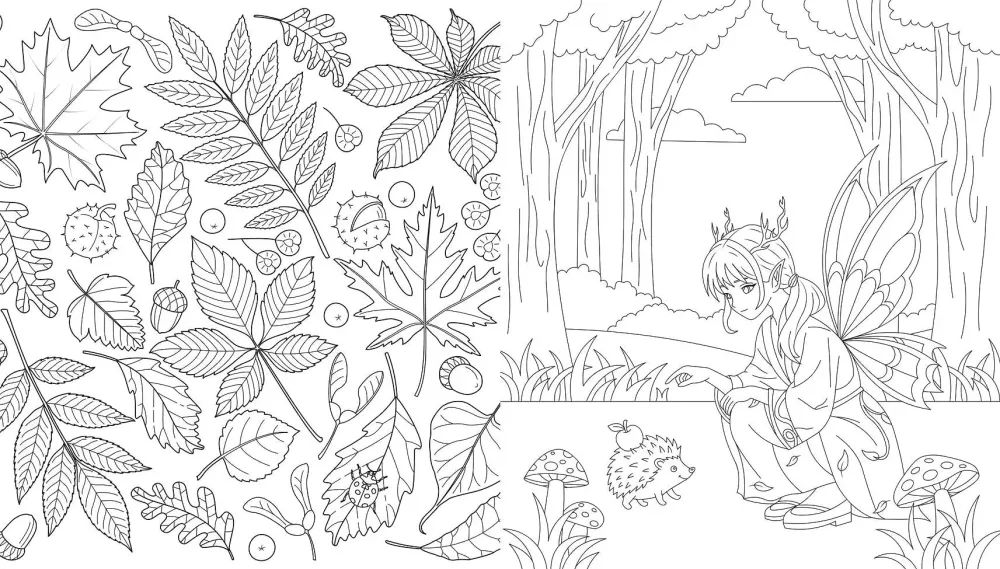 Fairies of the Autumn Forest. Coloring Book