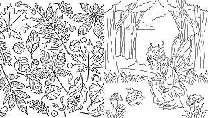 Fairies of the Autumn Forest. Coloring Book